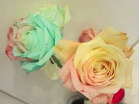 怎么利用虹吸作用做彩虹玫瑰花的方法