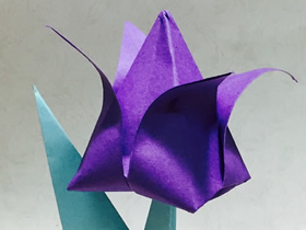 怎么折紙郁金香花和莖葉的折法圖解