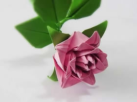 怎么折紙卷心玫瑰的折法詳細步驟圖解